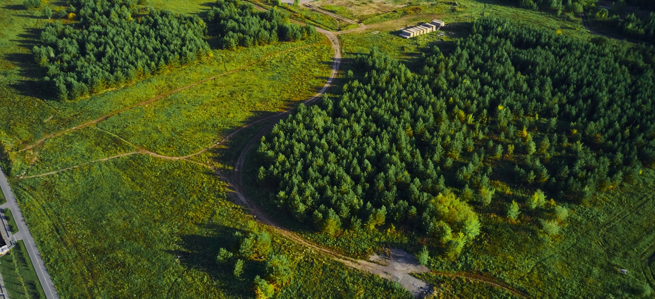 Первая линия. Гавань