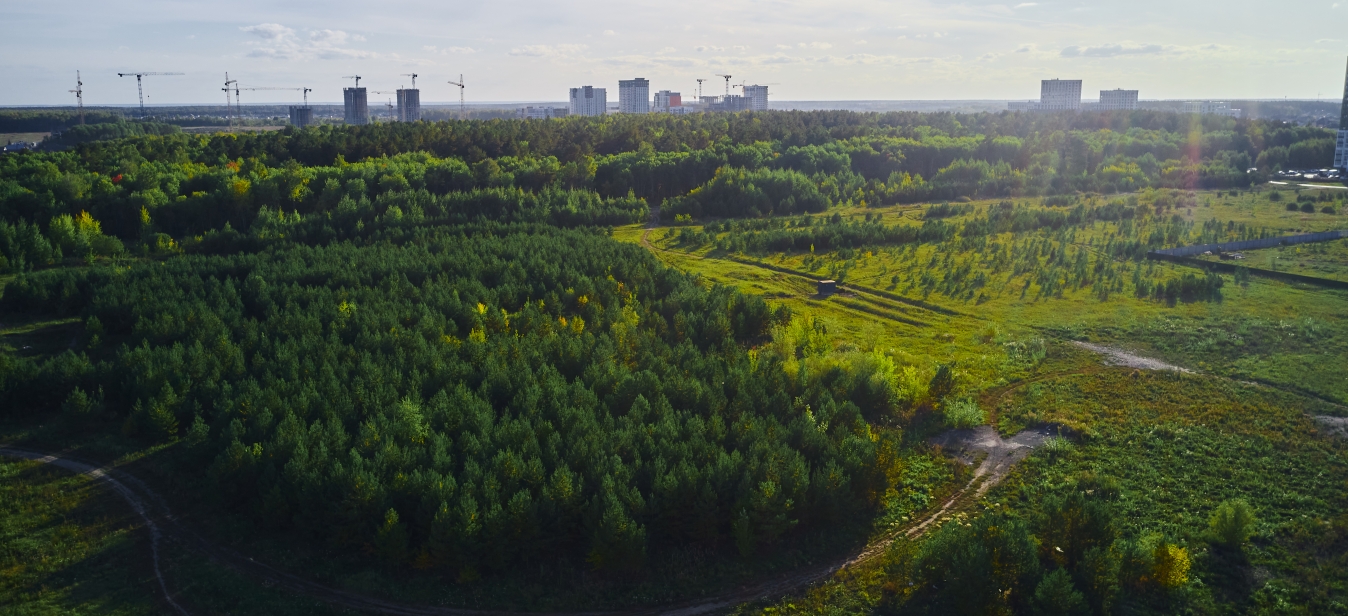 Первая линия. Гавань